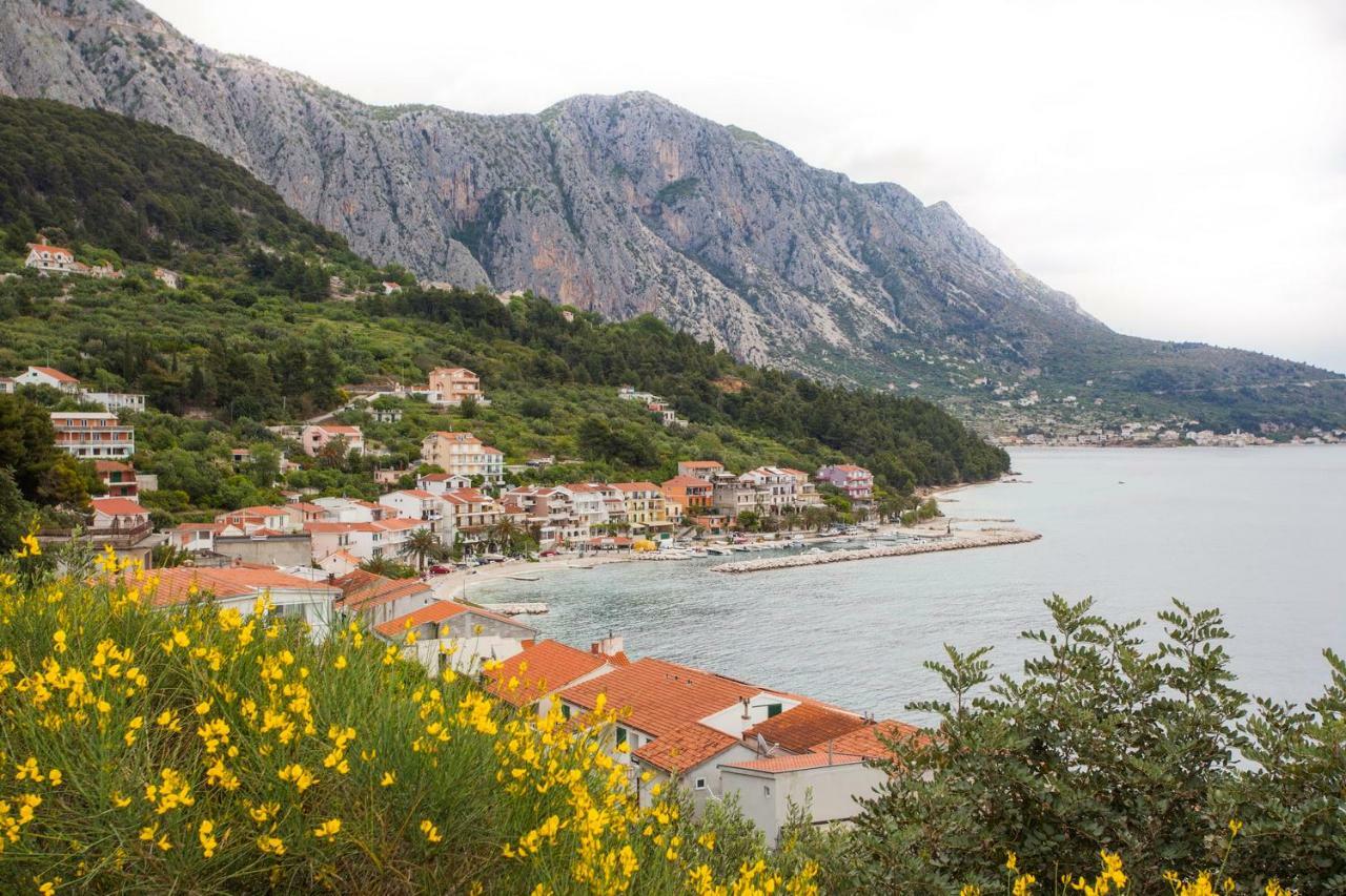 Vlado Apartment Podgora