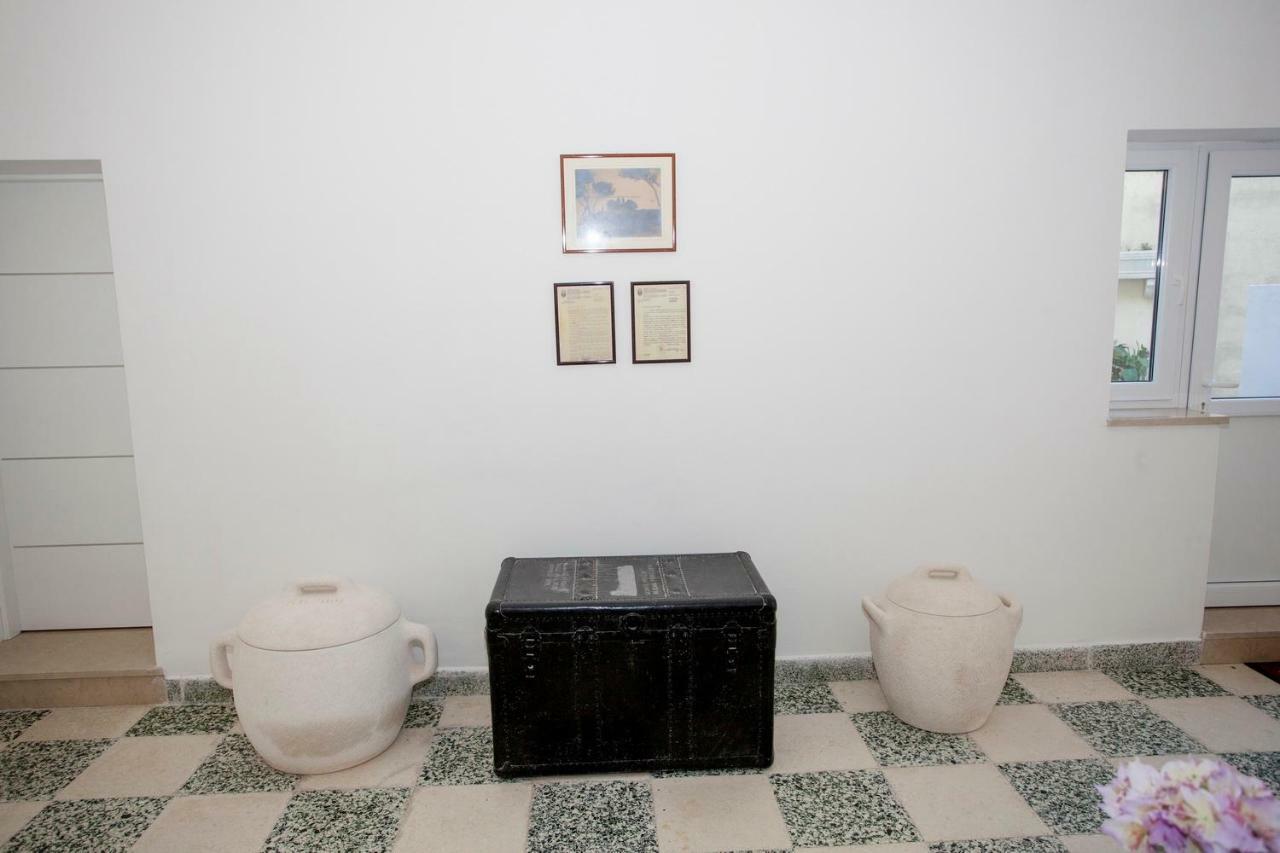 Apartment Vlado